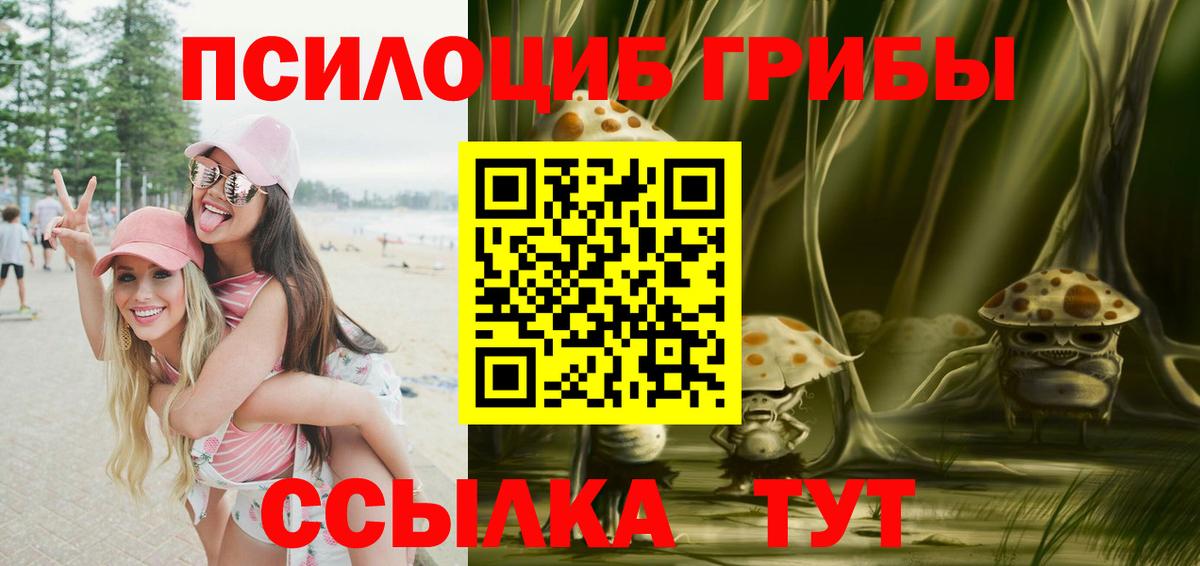 Псилоцибиновые грибы прущие грибы  Вход с VPN  Губаха 